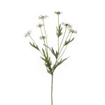 Textile flower daisy LASAI, cream, 30"/75cm