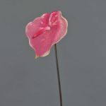 Flamingoblume künstlich MOIRA, pink-rosa, 75cm, 13x18cm