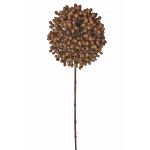 Dried flower allium BOCELLI, brown, 28"/70cm, Ø 5.5"/14cm