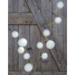 Decorative branch Gomphocarpus ELAENA, fruits, cream-white, 3ft/100cm