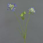 Künstlicher Zweig Scabiosa ANDIA, blau-lila, 80cm, Ø8-10cm