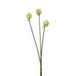 Kunstblumen Allium Blüten Bund LAMDA, creme-grün, 65cm, Ø4cm