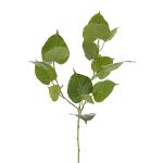 Künstlicher Ficus religiosa Zweig IRELIA, Früchte, grün, 80cm