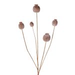 Künstlicher Mohnkapsel Zweig FILOMELA, hellbraun, 75cm, Ø2-3,5cm