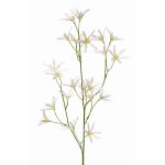 Kunstblume Zweig Tweedia solanoides PALLAS, weiß, 70cm, Ø5cm