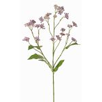 Deko Zweig Wasserdost KORALIA, violett, 80cm, Ø4-7cm