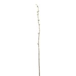 Dekozweig Kätzchenweide DAFINO mit Blüten, weiß, 105cm