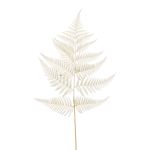Kunst Blatt Schwertfarn MBALI, creme, 80cm