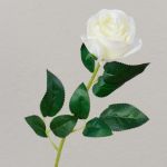 Textil Rose SEENSA, weiß, 55cm Ø7cm