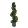 Decorative tree boxwood spiral FRITZ in decorative pot, 24"/60cm