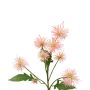 Decorative branch Globe thistle GESKENDA, pink-yellow, 24"/60cm