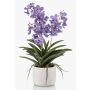 False Vanda orchid PAVRA in ceramic pot, roots, violet-white, 24"/60cm
