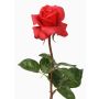 Artificial rose AMELIE, red, 28"/70cm, Ø 3.1"/8cm