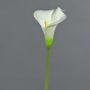 MIRAC artificial calla lily, cream, 75 cm, 12 x 15 cm