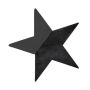OASIS® Black Ideal Wet florist sponge Star, Bioline wooden base, black, 12"x11"x1.8"/30x29x4,5cm
