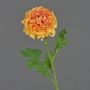 Decorative flower Ranunculus GRINTEL, apricot, 18"/45cm