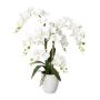 Artificial Phalaenopsis orchid LUKREN in a ceramic pot, with roots, white, 26"/65cm