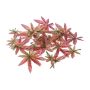 Artificial leaf Japanese maple FANTIN, 24 pieces, green-pink, Ø7-9cm