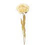Artificial flower Peony MASNOR, dry look, cream, 26"/65cm
