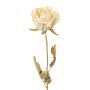Artificial flower Rose PANSOK, dry look, cream, 22"/55cm
