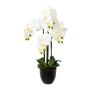 Decorative Phalaenopsis orchid UKERNA in resin planter, white, 28"/70cm