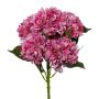 Decorative flower Hydrangea BUNDY, fuchsia, 26"/65cm