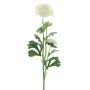 Artificial ranunculus PROTO, cream, 26"/65cm