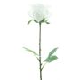 Velvet rose RUYUN, white, 18"/45cm