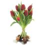 False tulip bouquet LONA with bulbs, red-black, 14"/35cm, Ø10"/25cm