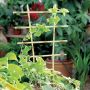 Bamboo trellis FERDA, yellow-brown, 16x26cm