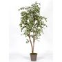 Artificial weeping fig LISEROSE, real stems, green-white, 6ft/180cm - Made in Italy