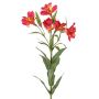 Artificial Inca Lily AUBERTA, pink-yellow, 75cm, Ø6cm