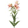 Artificial Inca lily AUBERTA, pink-pink-yellow, 75 cm, Ø 6 cm