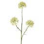 Artificial Allium ALIKIO, white, 65cm, Ø7cm