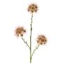 Decorative Allium ZEBU branch, pink, 65cm, Ø7cm