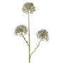 Artificial Allium ALIKIO, blue, 65cm, Ø7cm