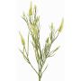 Artificial clover branch EUTIN with flowers, white-green, 31"/80cm