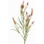 Artificial clover branch EUTIN with flowers, dusky pink-green, 31"/80cm