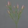 Artificial clover branch EUTIN with flowers, dusky pink-green, 31"/80cm