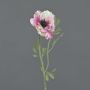 False anemone OKAPI, pink-white, 22"/55cm, Ø4"/10cm