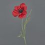 False anemone OKAPI, red, 22"/55cm, Ø4"/10cm