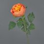 Artificial cabbage rose VANNI, orange, 60cm, Ø9cm