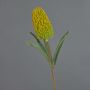 Decorative artificial Banksia robur flower EREDIN, yellow-green, 70cm, Ø7cm