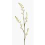 Artificial Montbretia flower KATHERYN, cream, 90cm
