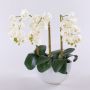 JASMIN artificial Phalaenopsis orchid in a ceramic bowl, white, 40cm
