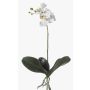 Artificial moth orchid FAO, spike, white, 18"/45cm