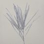 THEOBALD artificial cedar branch, glitter, silver, 60 cm