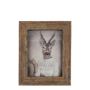 ESKIL wooden picture frame, printed, brown, 20 x 15 x 2 cm