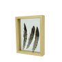 NIELAS wooden double-glazed frame, brown, 22 x 17 x 5 cm