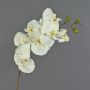 Artificial Phalaenopsis orchid branch RICKY, cream, 95 cm, Ø 7–11 cm